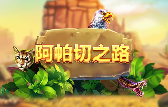 海王扑克